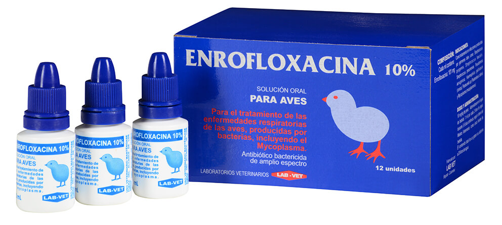 Enrofloxacina antibiótico para aves perros y gatos Enrofloxacina antibiótico para aves perros y gatos